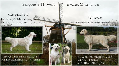 http://www.sunquests.de/deko_fotos/Holland0.jpg